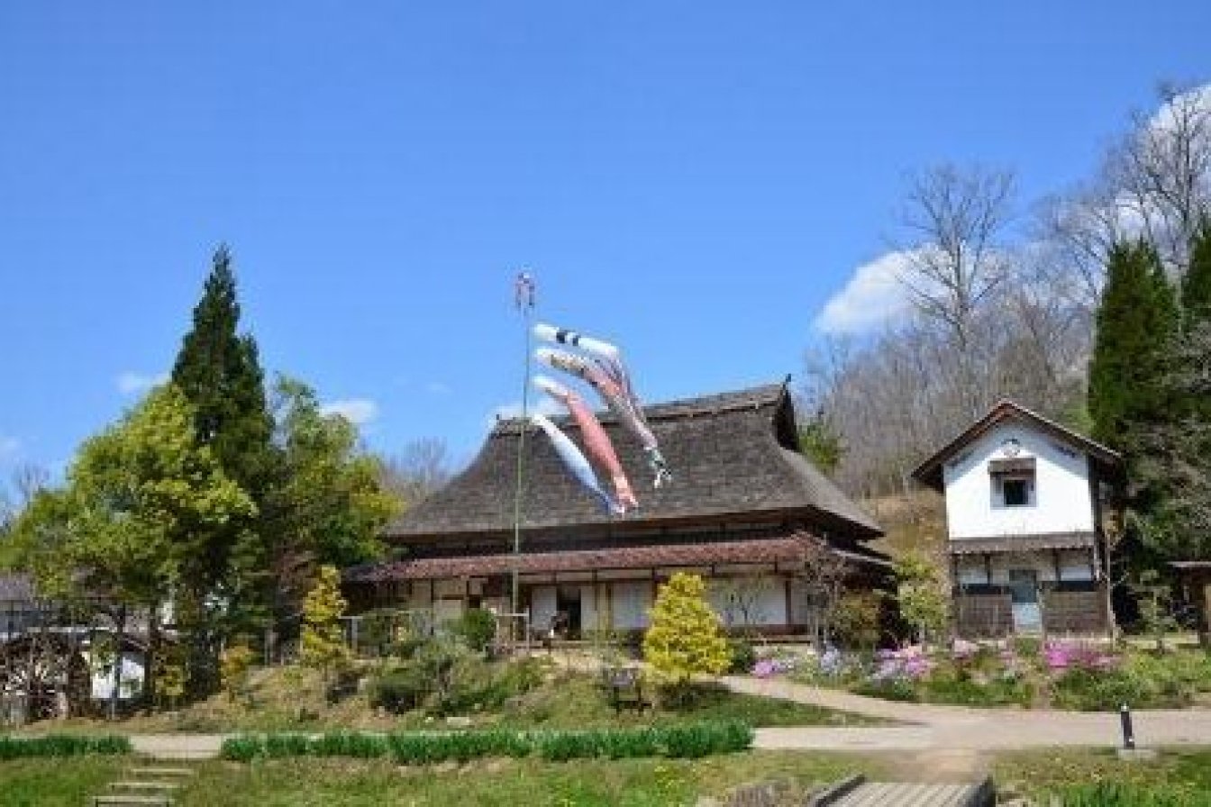 🌳 국영 비호쿠 언덕 공원(고쿠에이 비호쿠 규료코엔) 이미지 8